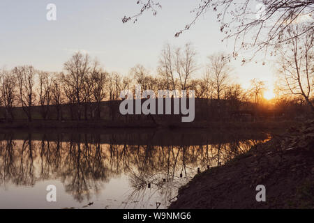 Il mirroring di alberi che coltivate nei pressi di stagno sul paesaggio al tramonto Foto Stock