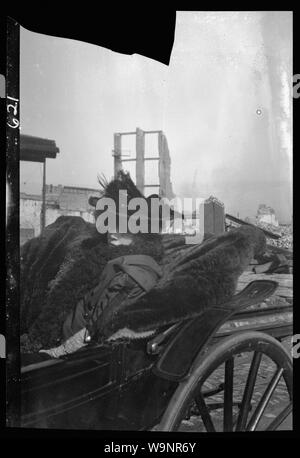 Bernhardt, Sarah nel carrello in San Francisco dopo il terremoto e fuoco di 1906 Foto Stock