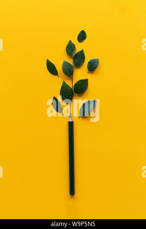 In legno penna verde con foglie che mostra la crescita nel business e sviluppo personale. La natura e il concetto di eco. Foto Stock