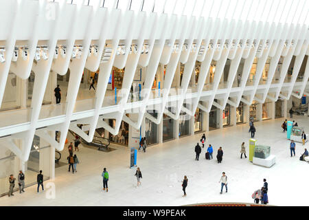 Westfield World Trade Center, il centro shopping al World Trade Center Complex in Manhattan. Occhio, interno. La città di New York, Stati Uniti d'America Foto Stock