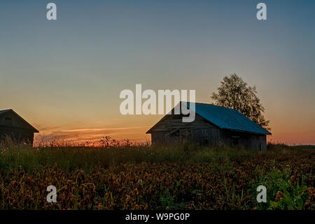 Il vecchio fienile case da un campo di patate su una tarda serata estiva in corrispondenza delle zone rurali della Finlandia. Il tramonto è di colorare il cielo di notte splendidamente. Foto Stock