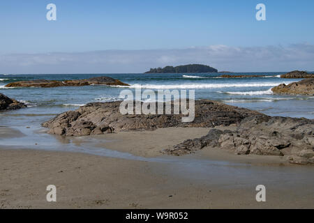 Primo piano di un mucchio di legni secchi stagionato a Vancouver Island British Columbia, Canada Foto Stock