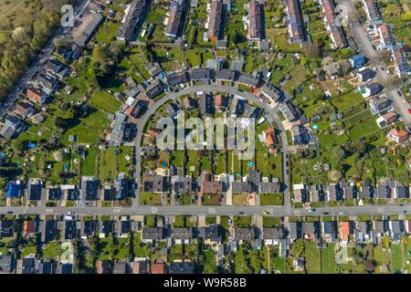 Vista aerea, complesso residenziale con villette a schiera e giardini, Hacheney, Dortmund, la zona della Ruhr, Nord Reno-Westfalia, Germania Foto Stock