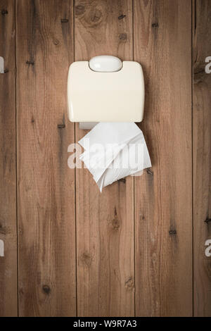 Last remaining sheet of toilet tissue in toilet paper holder on wooden wall of outhouse Foto Stock