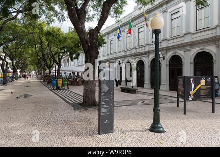 Avenida Arriaga promenade, Funchal, Madeira, Portogallo Foto Stock