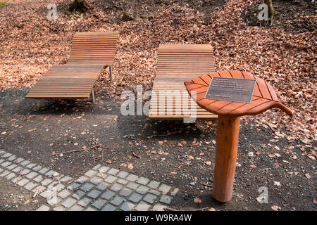 Sdraio, Parco Nazionale dell'Eifel, nella Renania settentrionale-Vestfalia, Germania, Europa Foto Stock