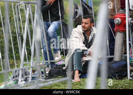 Bregana, Slovenia - 20 settembre, 2015 : maschi Siriani profughi alla frontiera slovena con la Croazia. I migranti sono in attesa per le autorità di op Foto Stock