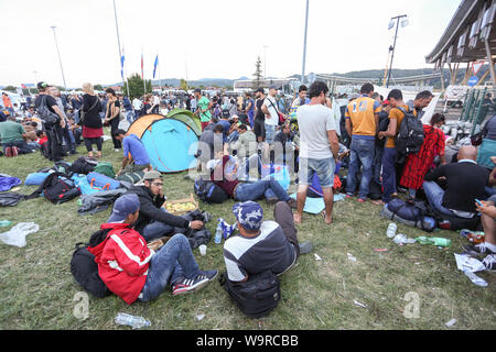 Bregana, Slovenia - 19 Settembre 2015 : un grande gruppo di rifugiati siriano con la chiusura del confine sloveno con la Croazia. I migranti sono in attesa per TH Foto Stock