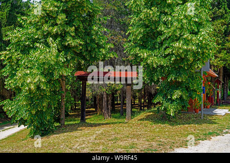 Örség, Wächterregion, Tor, Haltestelle, Wartehaus Foto Stock