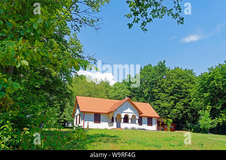 Örség, Wächterregion, Haus, saniert, typisch, traditionell Foto Stock