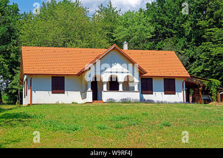 Örség, Wächterregion, Haus, saniert, typisch, traditionell Foto Stock