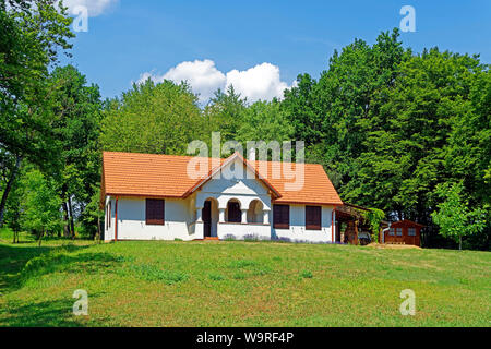 Örség, Wächterregion, Haus, saniert, typisch, traditionell Foto Stock