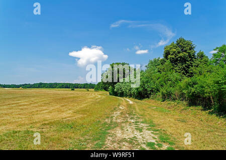 Örség, Wächterregion, Landschaft Foto Stock