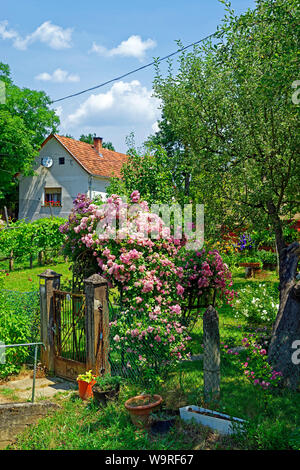 Örség, Wächterregion, Garten, Gartenpforte Foto Stock