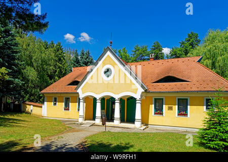 Heimatmuseum, Göcseji Village Museum, Haus, typisch, Eingang, Säulen Foto Stock