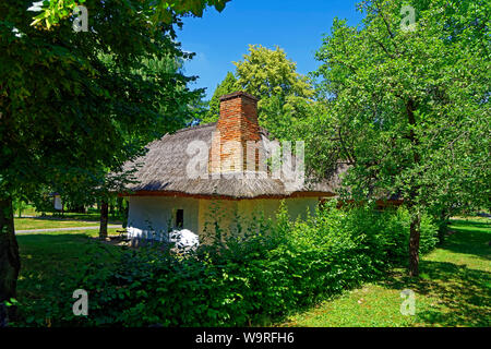 Heimatmuseum, Göcseji Village Museum, Haus, Reetdach Foto Stock