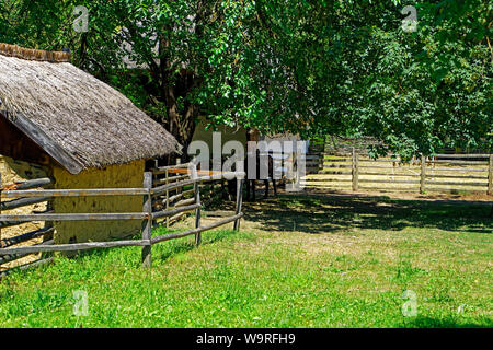 Heimatmuseum, Göcseji Village Museum, Haus, Reetdach Foto Stock