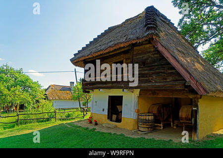 Örség, Wächterregion, Museumsdorf, Pityerszer, Haus, Reetdach Foto Stock