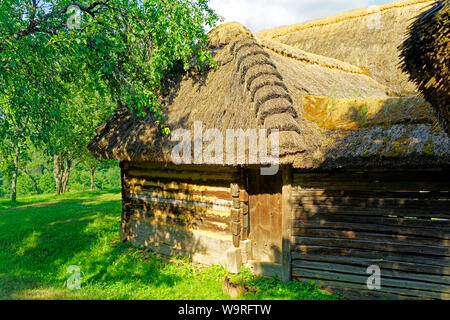 Örség, Wächterregion, Museumsdorf, Pityerszer, Haus, Reetdach Foto Stock