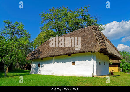 Örség, Wächterregion, Museumsdorf, Pityerszer, Haus, Reetdach Foto Stock