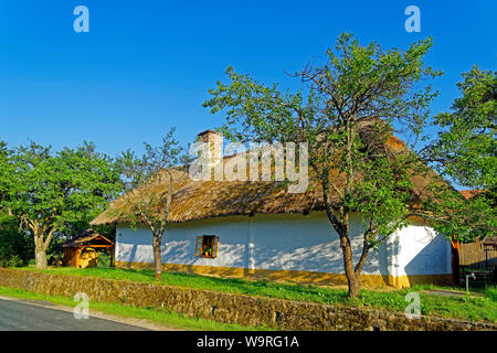 Örség, Wächterregion, Museumsdorf, Pityerszer, Haus, Reetdach, historisch Foto Stock