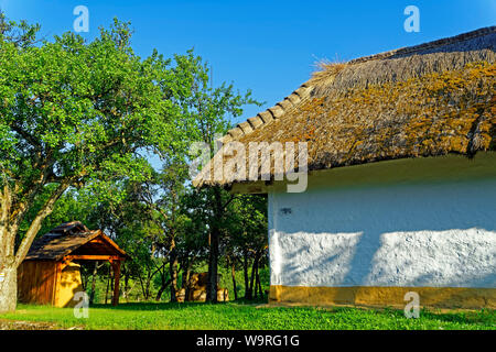 Örség, Wächterregion, Museumsdorf, Pityerszer, Haus, Reetdach, historisch Foto Stock