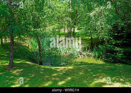 Örség, Wächterregion, Landschaft Foto Stock