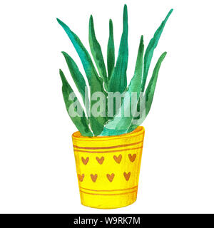 Acquerelli di cactus e piante succulente. Illustrazioni raster per biglietti di auguri e inviti e altri progetti di stampa su uno sfondo bianco.Alta resoluti Foto Stock