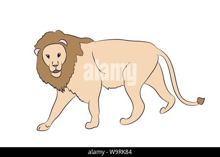 Vettore di Lion. Sfondo bianco Illustrazione Vettoriale