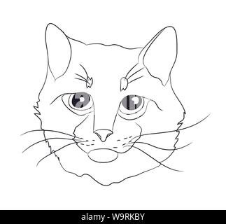 Ritratto di gatto, linee vettoriali, sfondo bianco Illustrazione Vettoriale