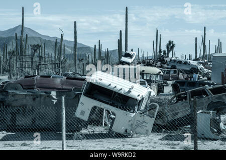 America Centrale, Messico, messicano, Baja, Baja California Sur, Yunkyard.Caption locale *** Foto Stock