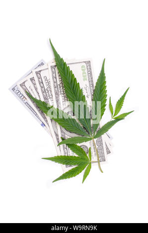 Foglie di cannabis su United States Dollar Bills isolati su sfondo bianco. Foto Stock