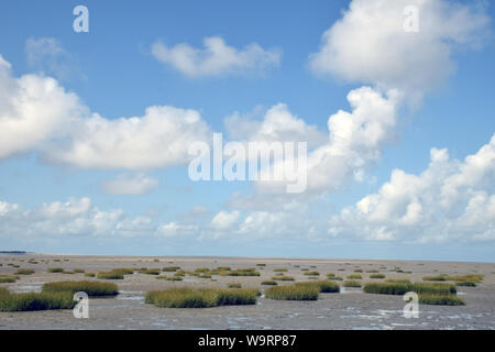 La bassa marea, Le Crotoy, Somme estuario, Francia settentrionale, Agosto 2019 Foto Stock