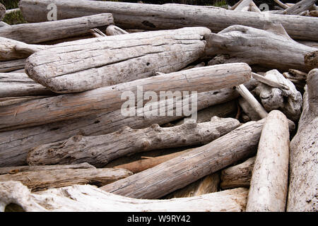 Primo piano di un mucchio di legni secchi stagionato a Vancouver Island, British Columbia, Canada Foto Stock