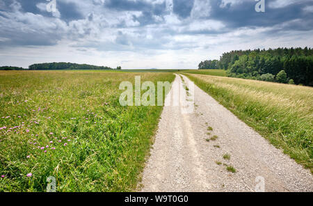 Bella e soleggiata rurali paesaggio estivo con una lunga strada di ghiaia e una diminuzione persepective Foto Stock