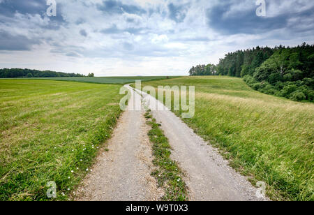 Bella e soleggiata rurali paesaggio estivo con una lunga strada di ghiaia e una diminuzione persepective Foto Stock