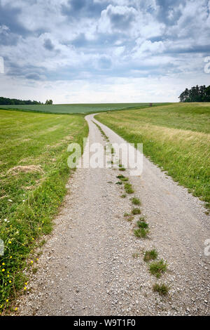 Bella e soleggiata rurali paesaggio estivo con una lunga strada di ghiaia e una diminuzione persepective Foto Stock