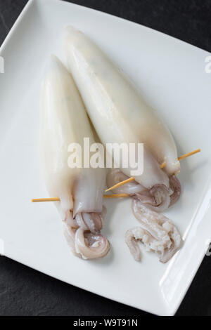 Due materie, preparato di calamari Loligo vulgaris, che sono state farcite con uova strapazzate altri ingredienti inclusi il prezzemolo. I tentacoli sono state secur Foto Stock
