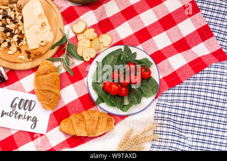 Elegante pic nic sul prato verde. Cornetti freschi e una teiera con il tè su un copriletto vicino a una femmina di vimini hat. Instagram contenuto. Foto Stock
