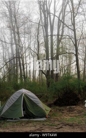 Tenda nei boschi, Fort Custer State Area ricreativa, Indiana, Stati Uniti Foto Stock