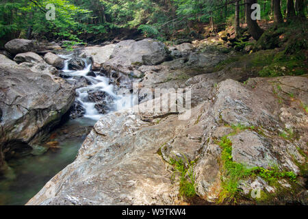 Silky acqua che scorre sulle rocce nel cuore della foresta illuminata Foto Stock