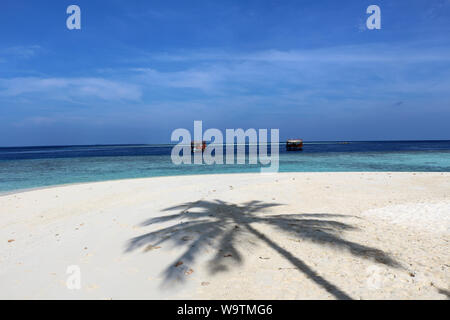 L'ombra di una palma sulla spiaggia. Maldive. Foto Stock