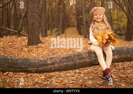 La ragazza si siede su un albero e nelle sue mani ha foglie di acero in foresta tempo caldo Foto Stock