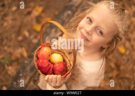 La bambina in un bosco con un cestello i costi sulla bellissima molte foglie di acero Foto Stock