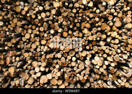 Logpile Mont Saint-Cyr Saône-et-Loire Francia Foto Stock