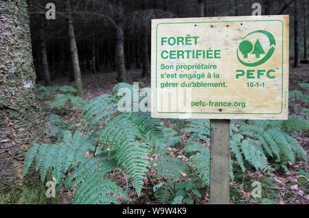 La silvicoltura sostenibile Mont Saint-Cyr Francia Foto Stock