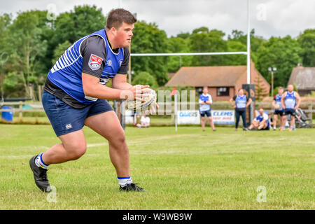 Giovane maschio player (età 14-30) raccoglie il pallone da rugby come compagni di squadra guardare dalla distanza a amateur Touch Rugby festival a Lowestoft nel luglio 2019 Foto Stock