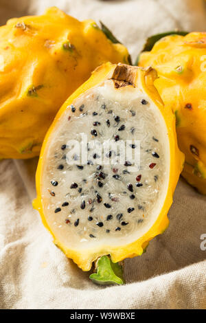 Materie organiche Dragonfruit giallo pronto a mangiare Foto Stock