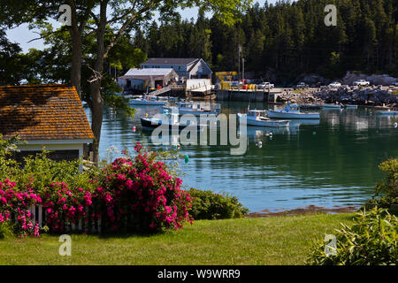 Barche da pesca al di ancoraggio in STONINGTON una aragosta importante porto peschereccio e turistico - Isola di cervi, MAINE Foto Stock