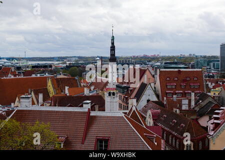 Guardando fuori Tallinn dalla città vecchia superiore, Tallinn, Estonia Foto Stock